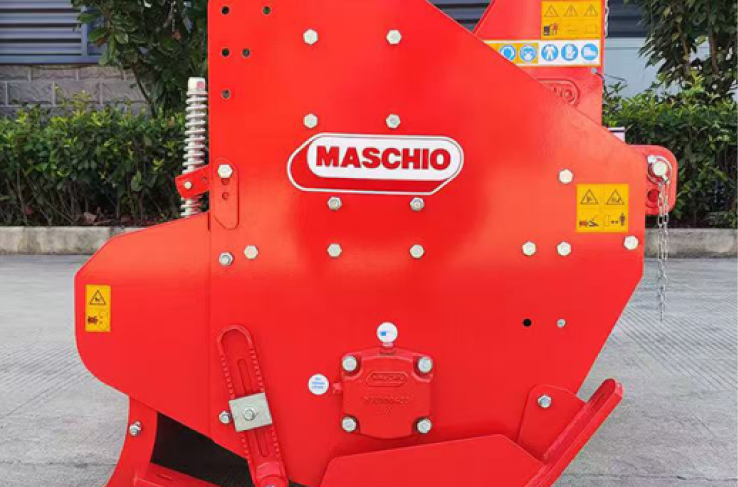 maschio3_1_1